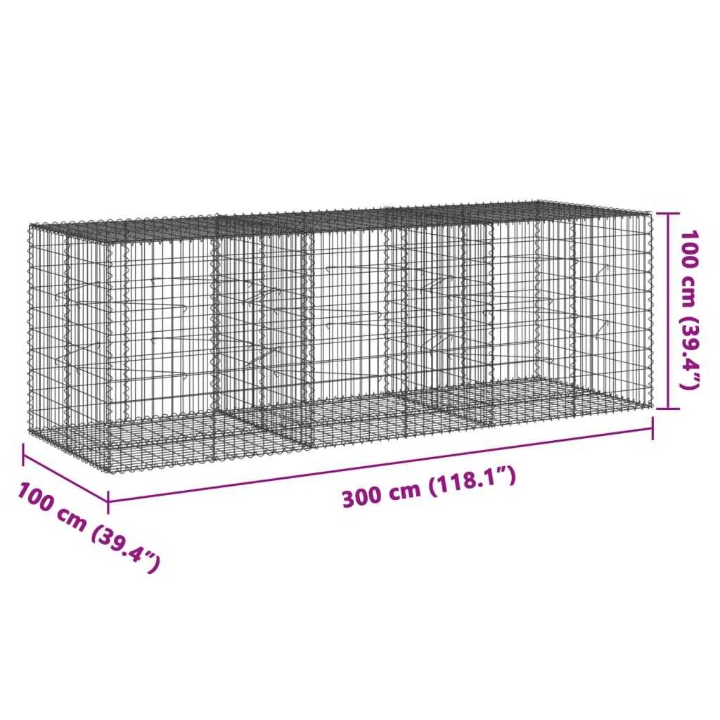 vidaXL Габионна кошница с покритие, 300x100x100 см, поцинковано желязо