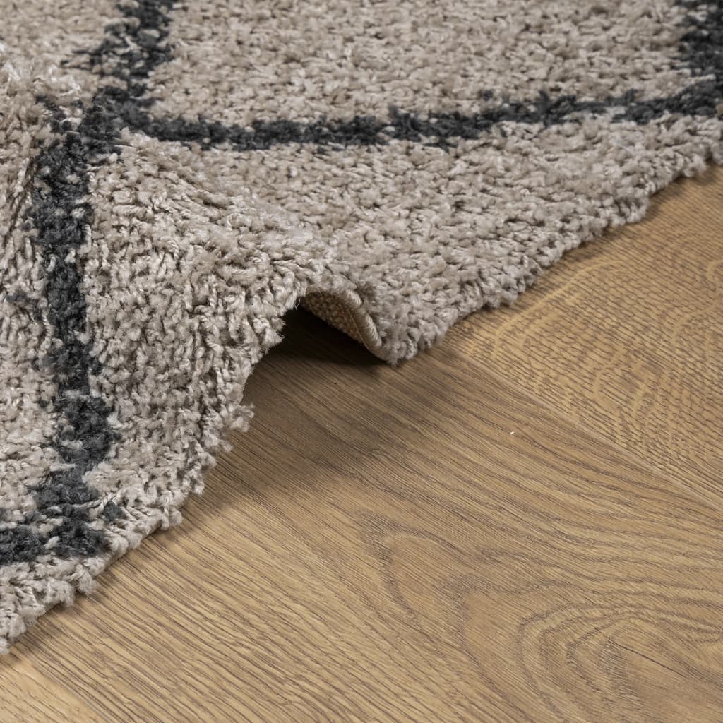 vidaXL Шаги килим с дълъг косъм "PAMPLONA" бежов и антрацит 80x150 см